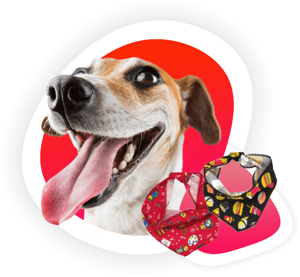 Compre Bandana para Cachorro com FRETE GRÁTIS - @Xodopshop