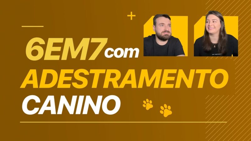 6EM7 COM ADESTRAMENTO CANINO | ERICO ROCHA #cortesedc