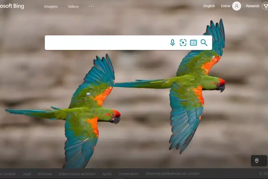 bing-ads-anunciar-criar-campanha-subir-cupom-desconto-vale-pena-como-usar-orcamento-desconto-otimizacao-conta-microsoft-advertising-marketing-afiliados-pagamento-formas-resultado-1536x717